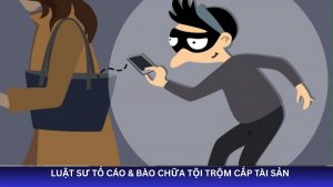Bào chữa tội trộm cắp tài sản