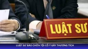 luật sư bào chữa tội cố ý gây thương tích
