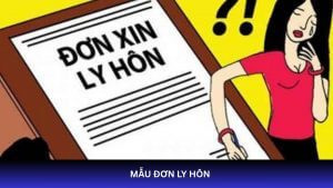 mẫu đơn ly hôn mới nhất