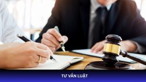 tư vấn giải quyết tranh chấp về luật