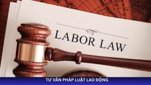 tư vấn pháp luật lao động