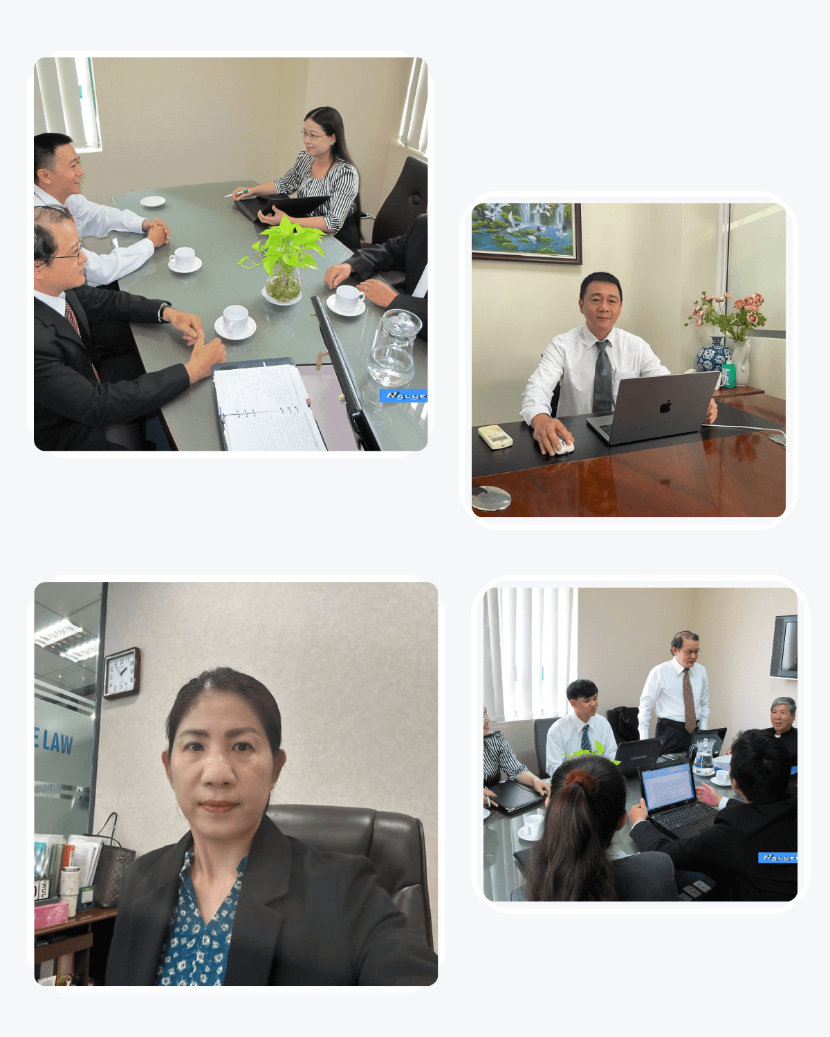 đội ngũ luật sư